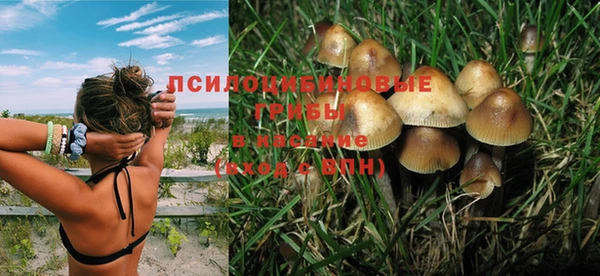 СК Бородино