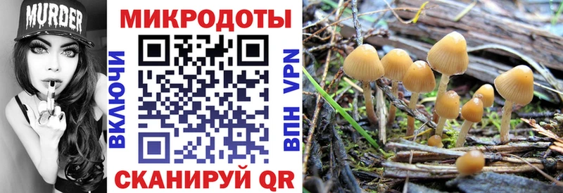 Псилоцибиновые грибы прущие грибы  цены наркотик  Вуктыл 